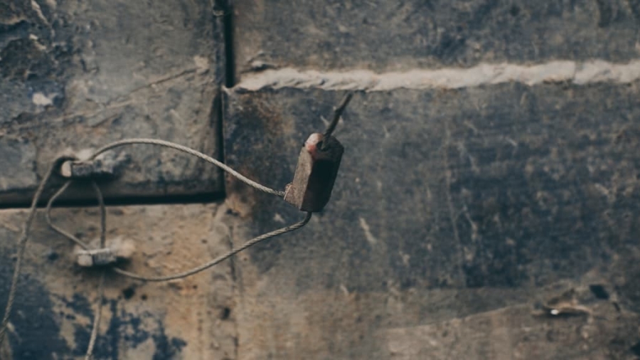 Photo Vertical Mice