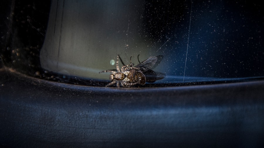 Photo Bug Bounty Program