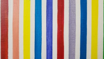 Photo Stripe vs Paddle