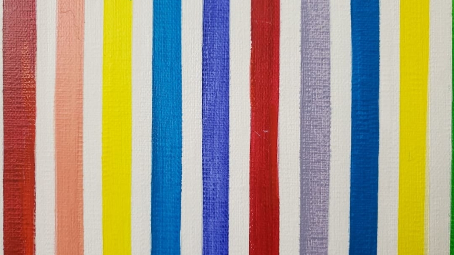 Photo Stripe vs Paddle