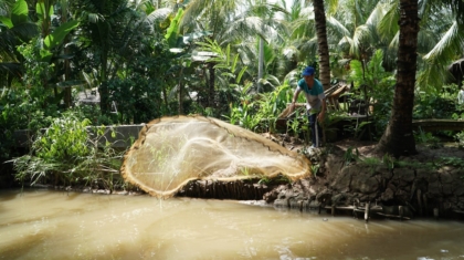 Photo Illegal Fishing and Deforestation