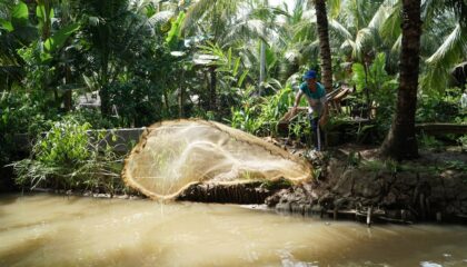 Photo Illegal Fishing and Deforestation