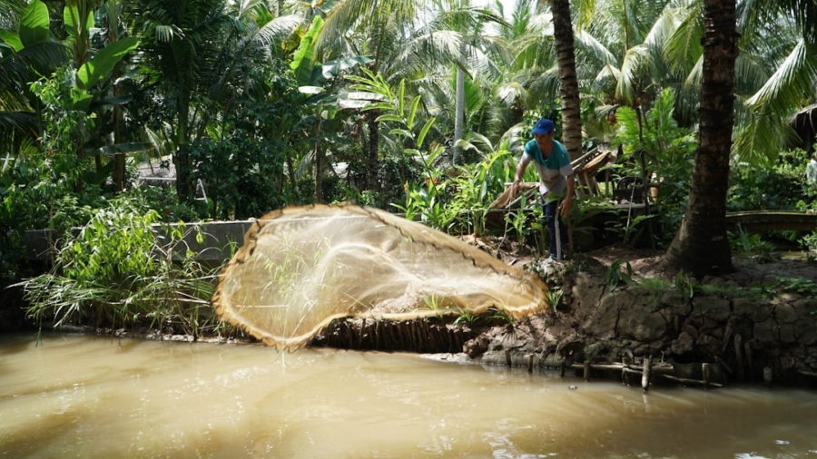 Photo Illegal Fishing and Deforestation