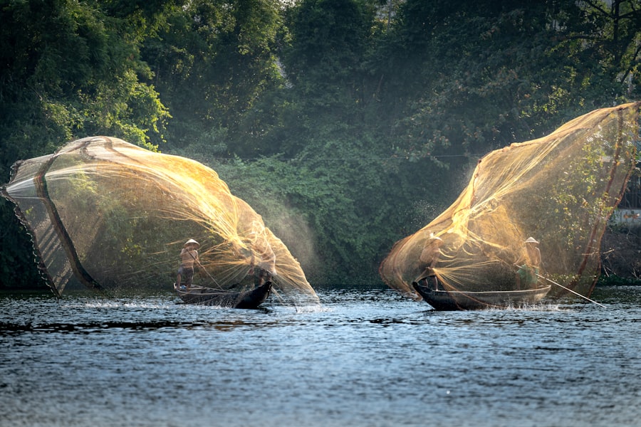 Photo Illegal Fishing and Deforestation