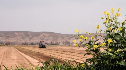 Photo Revitalizing Agricultural Land