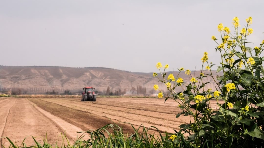 Photo Revitalizing Agricultural Land