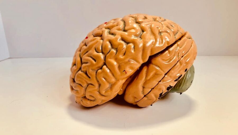 Photo VR, Memory Training, Cognitive Enhancement