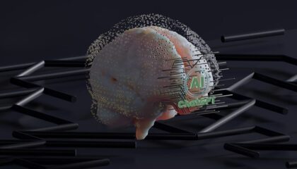 Photo Neural Rendering