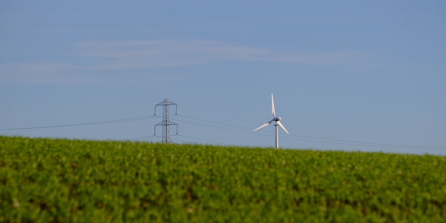 AI, Wind Farm, Output