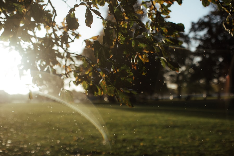 Smart Irrigation