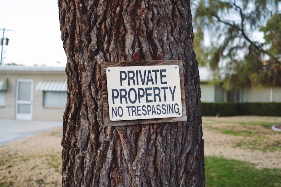 Intellectual Property