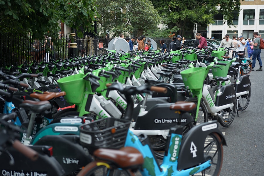 Sustainable Urban Mobility