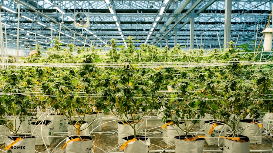 The Growth of Sustainable Vertical Farming Systems 3 Sustainable Vertical Farming Systems