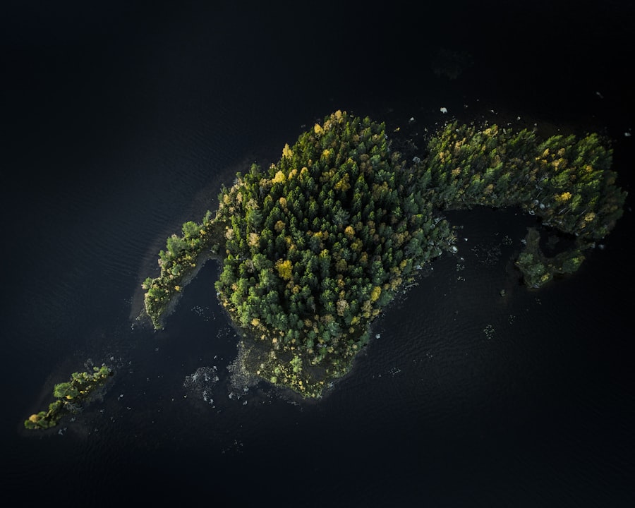 Developing Low Carbon Footprint AI Models 3 Low Carbon Footprint AI Models