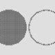 Photo Quantum Computers