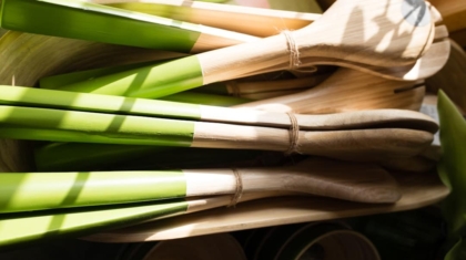 Photo Biodegradable Materials