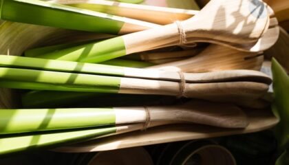 Photo Biodegradable Materials