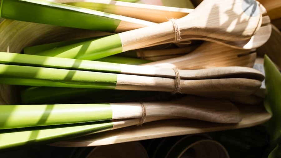 Photo Biodegradable Materials