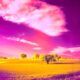 Photo Neural Radiance Fields