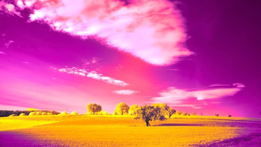 Photo Neural Radiance Fields