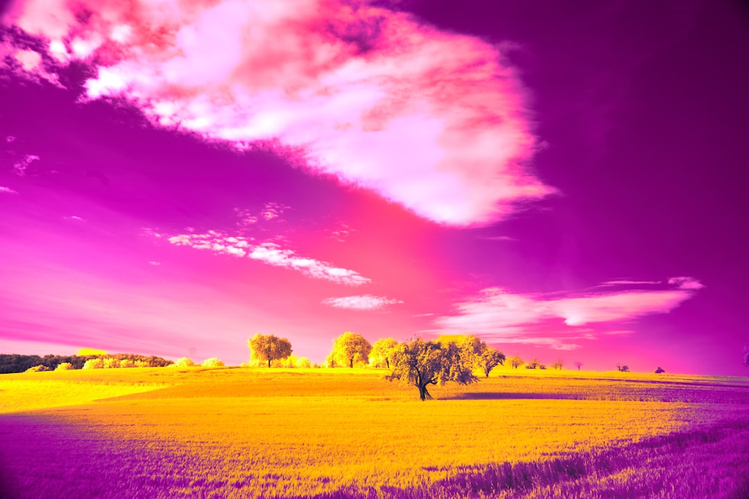 Photo Neural Radiance Fields