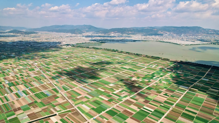 Photo Sustainable Sourcing
