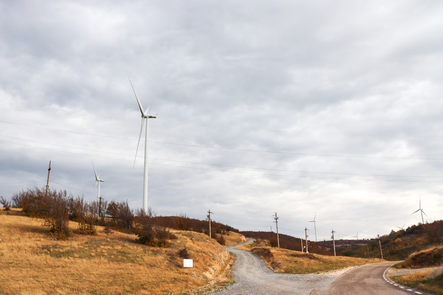 Photo AI, Wind Farm, Output