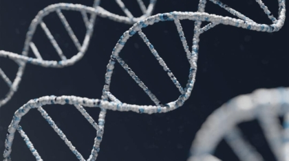 Photo Genomic Sequencing