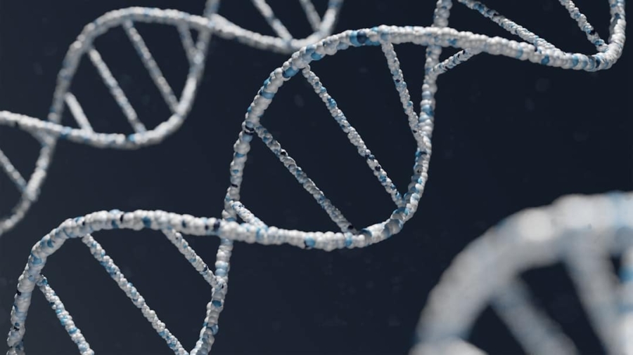 Photo Genomic Sequencing