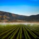 Photo Smart Irrigation