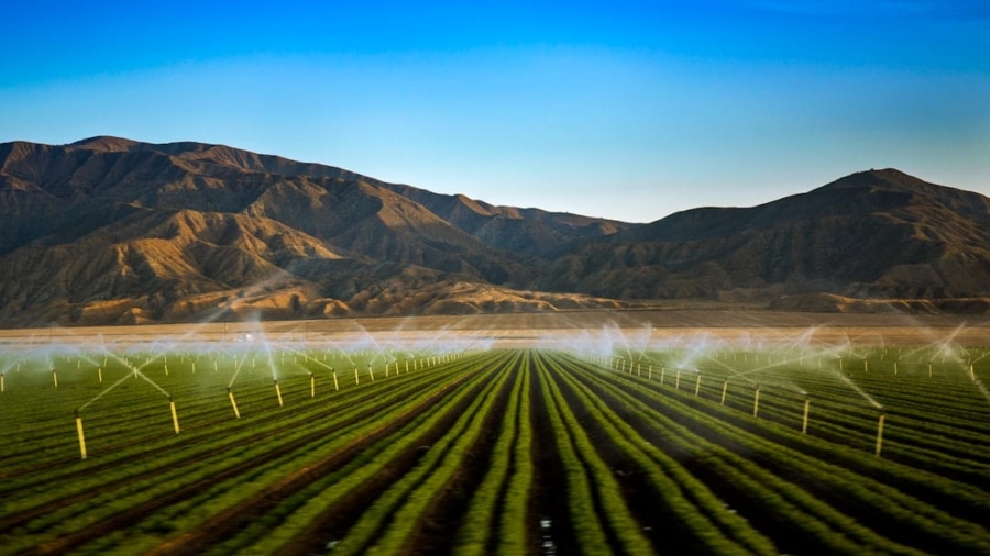 Photo Smart Irrigation