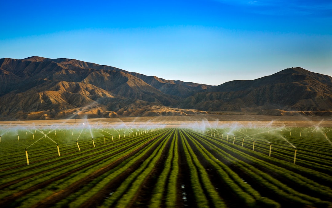 Photo Smart Irrigation
