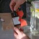 Photo Hydration Sensors