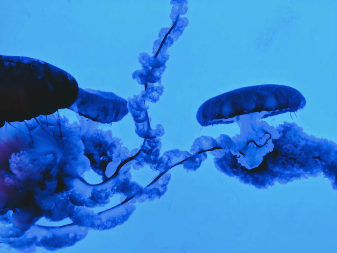 Photo Synthetic Biology