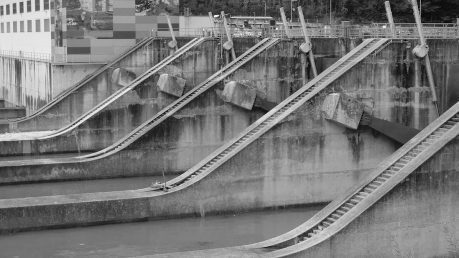 Photo Water Management