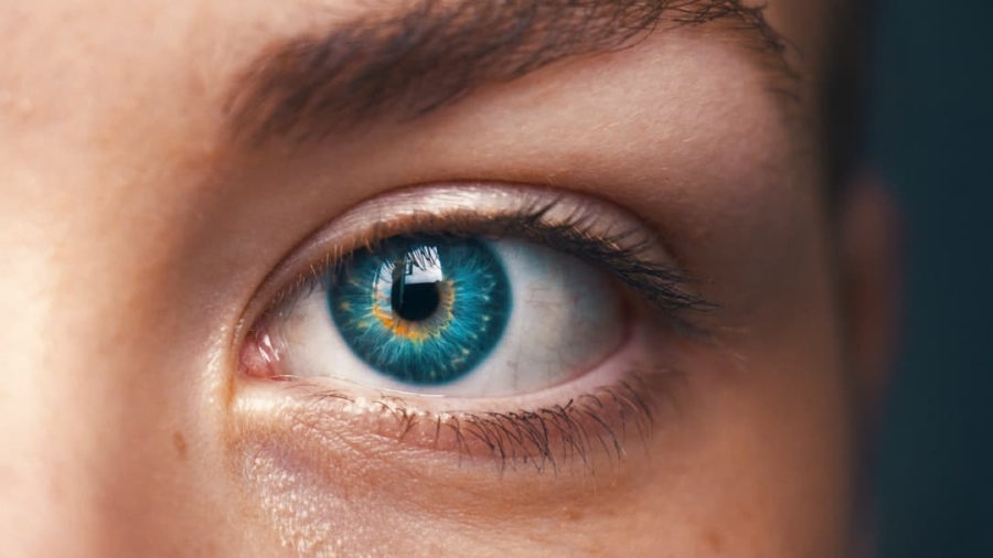 Photo Contact Lenses
