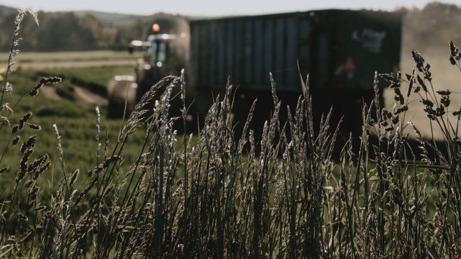 Photo Agricultural Harvesting
