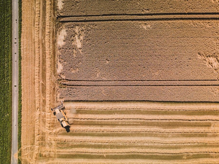 Photo Agricultural Harvesting