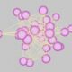 Photo Graph Neural Networks