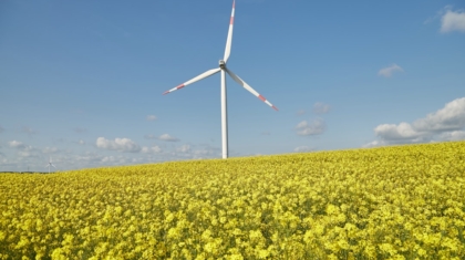 Photo Biofuels