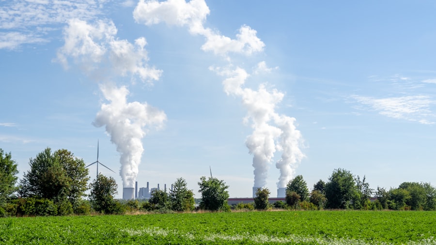 Photo Biofuels