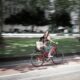 Photo Sustainable Urban Mobility