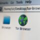 Photo Browser Automation