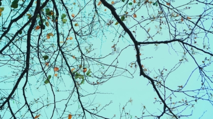 Photo Neurodiversity