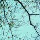 Photo Neurodiversity