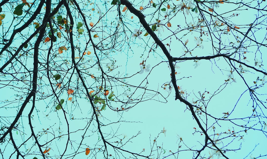 Photo Neurodiversity