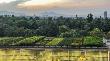 Photo Sustainable Vertical Farming Systems
