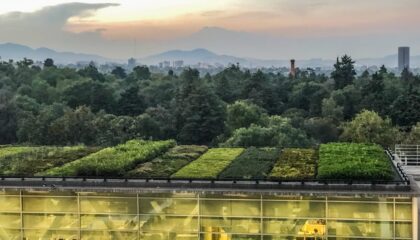 Photo Sustainable Vertical Farming Systems