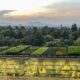 Photo Sustainable Vertical Farming Systems
