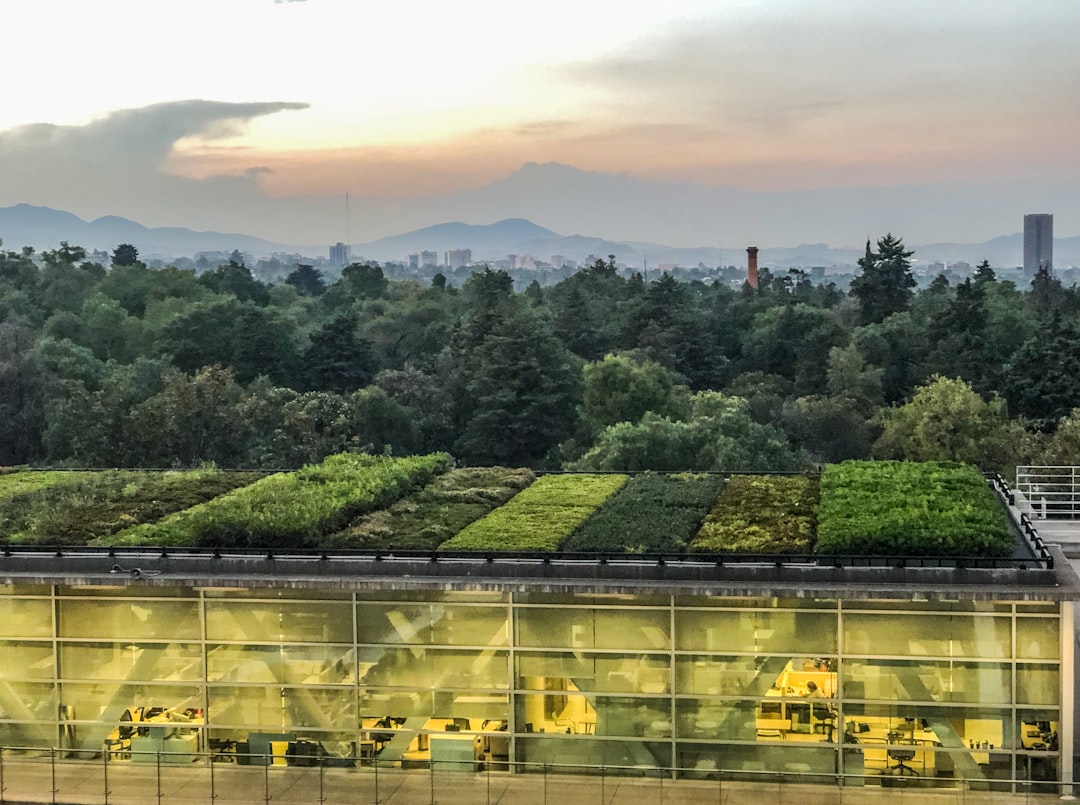 Photo Sustainable Vertical Farming Systems